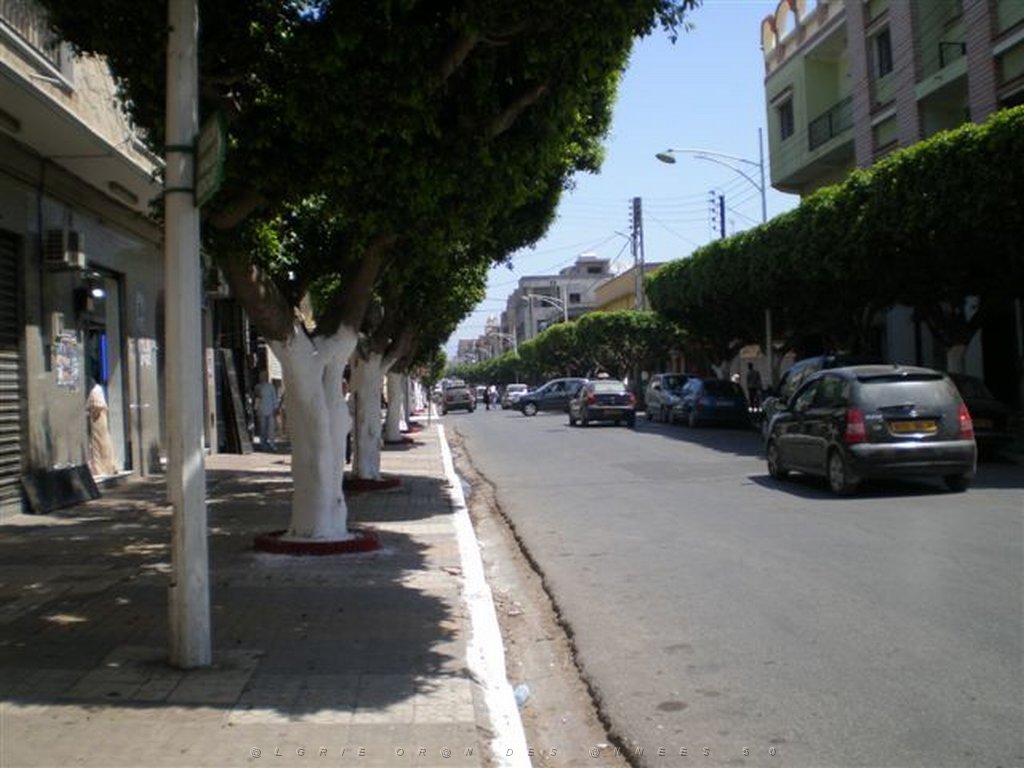 VOYAGE JUIN 2009 Ave Aristide Briand.jpg